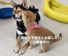 現役女子高校生がお話聞きます 誰でも何分ならでもOK!女子高生とお喋りしたい方募集中です！