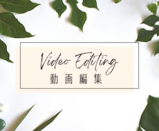 YouTube／SNS／広告動画の編集承ります イメージ1