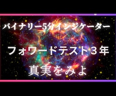 バイナリー＆スキャル用でシンプルにしてます イメージ1