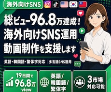 海外向けSNS運用・動画制作を支援します イメージ1