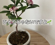 あなたのお悩みを受け止めます イメージ1