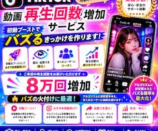 TikTok再生回数8万回増やします イメージ1
