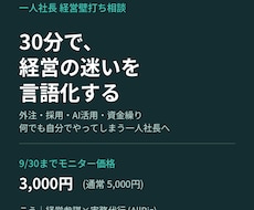 一人社長の経営壁打ち相談、30分のります イメージ1