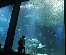 ネガティブなあなたも明日からポジティブになります イメージ1
