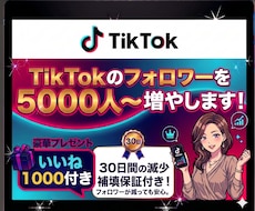 TikTokのフォロワー5,000人〜増やします イメージ1