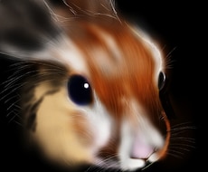 うさぎのイラストを主に描いています イメージ1