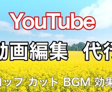 返金保証☆YouTube動画編集します イメージ1