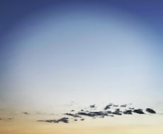 自然を感じられる写真を撮ります イメージ1