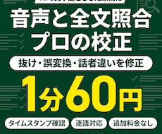 AI文字起こし原稿を音声と照合修正します イメージ1