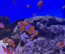 理学療法士を目指す方のお悩み聞きます イメージ1
