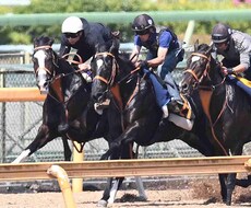 競馬予想!オッズや人気不要!初心者歓迎いたします