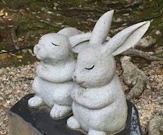 悩んだ、困った、迷ったとき、タロット引きます 元気になりたい、勇気が欲しい、そんな時お試しにどうぞ