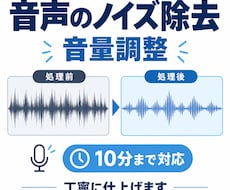 音声のノイズ除去・音量調整を丁寧に行いますます イメージ1
