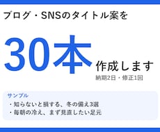 ブログ・SNSのタイトル案を30本作成します イメージ1