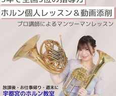 ホルン個人レッスン！高音・バテ対策 丁寧に教えます 高い音が出ないとお悩みの方へ、正しい努力の仕方を伝授します