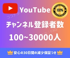 47ページ目）YouTube・動画マーケティング | ココナラ