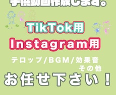 TikTok/Instagram用動画編集します イメージ1