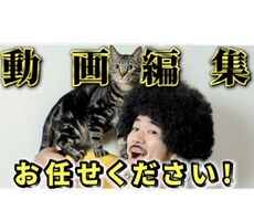 満足度の高い動画編集をします クオリティはもちろん！納品、レスポンス素早く対応いたします！