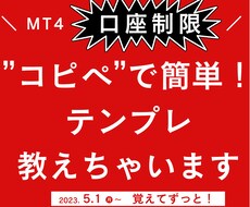 口座制限テンプレートプログラム教えちゃいます コピペするだけ！もうプログラマーにお願いしなくてもOK！