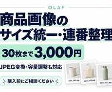 商品画像30枚のサイズ統一・連番整理を代行します イメージ1