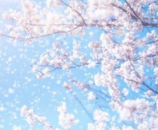 現役看護師があなたのお話ききます イメージ1