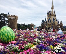 ワンコイン！現役看護師があなたを、癒します イメージ1