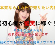 副業★メルカリで売れた商品リスト渡します 仕入れ先や売上が丸裸。面倒なリサーチ不要