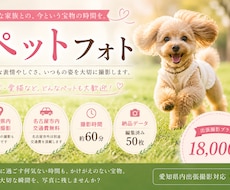 自然な表情を大切に愛犬・ペットを撮影いたします 大切な家族との、今という宝物を写真に。