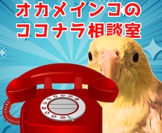 ココナラ出品者向け☆電話でお悩み相談を伺います イメージ1