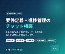 現役PMOが要件定義・進捗管理の相談に乗ります イメージ1