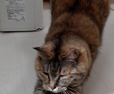 元整備士が車検のいらない項目等を丁寧に教えます イメージ1
