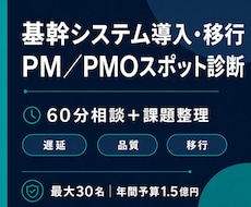基幹システム導入・移行のPM／PMO相談に乗ります イメージ1