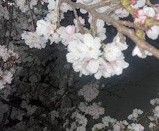 誰にも言えないお悩み貴方のお話お聞きします。ます イメージ1
