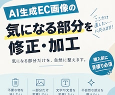 AI生成EC画像の気になる部分を修正・加工します AIで作ったEC画像、ここだけ直したくありませんか？