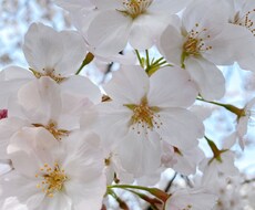 愛するお子様と笑顔で向き合えるお手伝いします イメージ1