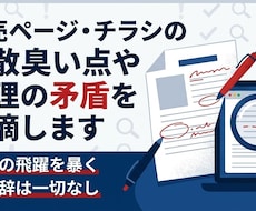 販売ページ等の胡散臭い点や論理の矛盾を指摘します イメージ1
