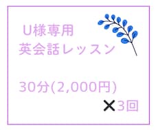 U様専用・英会話レッスンをします イメージ1