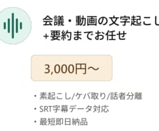 音声を文字起こし+要約までまとめて仕上げます イメージ1