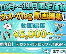 エンタメ・Vlog動画編集します イメージ1