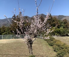 私の人生経験から、心の悩み相談をお引き受けします イメージ1