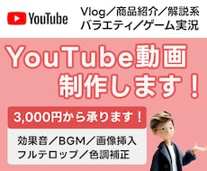 YouTube動画★あなたの“世界観”を演出します 【テロップ・間・テンポ・BGM】こだわり抜いた動画編集！