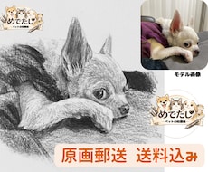 原画郵送♪  大切なペットを鉛筆でリアルに描きます