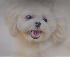 水彩画風にペットを描きます イメージ1