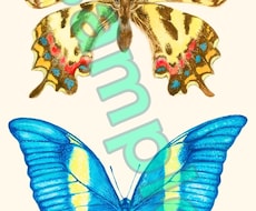 透明水彩絵の具で写実的に昆虫の絵を描きます イメージ1