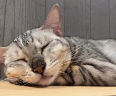 話したいこと全部お聞きします イメージ1