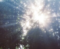 気になることを24時間以内に霊視で鑑定致します お悩みにズバッとお答えします。