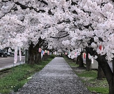 あなたの心を少しやらわげます イメージ1