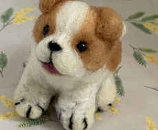 わんちゃん好きさんに喜ばれます オリジナルわんちゃんを羊毛フェルトで制作します