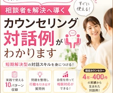 初心者向けカウンセリング対話マニュアル教えます 具体的な短期解決型の対話10パターンそのまま使って即戦力に！