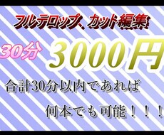 格安でテロップ＆カット編集します
